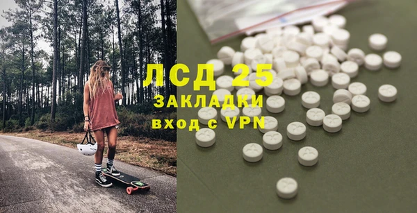 ПСИЛОЦИБИНОВЫЕ ГРИБЫ Алексин