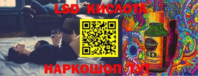 гидра Камышлов