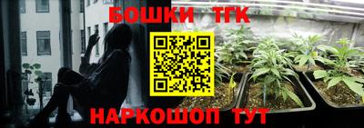 гидра Камышлов