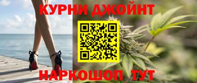 гидра Камышлов