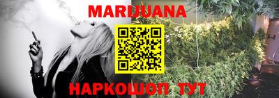 гидра Камышлов